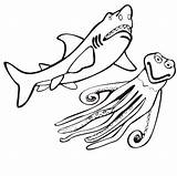 Shark Coloring Basking Pages Color Print Animal Printable Sheets Back sketch template