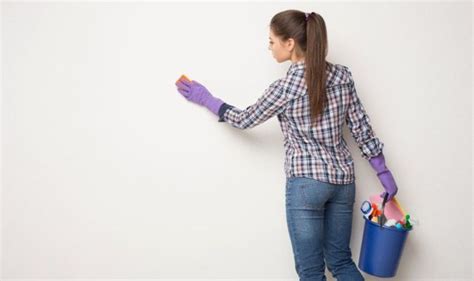 clean walls  removing paint genius tip  ensure