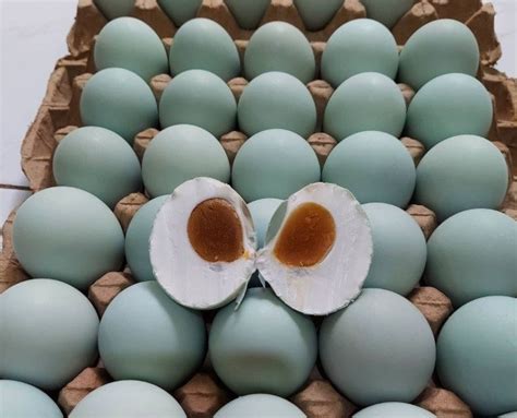 Lingkaran Ini Manfaat Luar Biasa Dalam Sebuah Telur Bebek