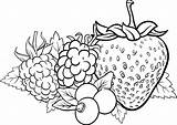 Colorare Berries Frutti Bosco Riscos Prato Kolorowanka Druku Owoce Kolorowanki Truskawki Winogrono Strawberry Yayimages Parati Vegetables Pixers Frutas Izakowski Adesivo sketch template