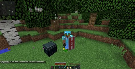 trade  wither skulls   portal coords   proof rbt