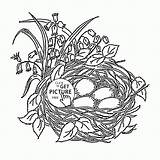Coloring Spring Flowers Pages Printable Nest Library Clipart Bird Line Drawing sketch template