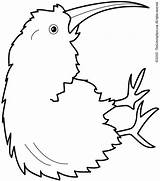 Kiwi Coloring Bird Pages Drawing Clipart Colouring Fruit Color Print Animals Animal Getcolorings Kids Getdrawings Kaynak Animalstown Printable Lightupyourbrain sketch template