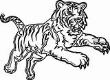 Tiger Coloring Pages Realistic Bengal Drawing Printable Paw Color Getdrawings Getcolorings Attack Time Choose Board Animals sketch template