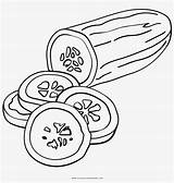 Pepino Colorir Coloringhome Seekpng Cucumbers sketch template