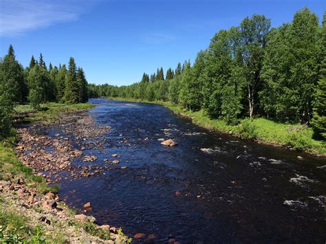 summer in sweden nature scenery amateur sweden härjed