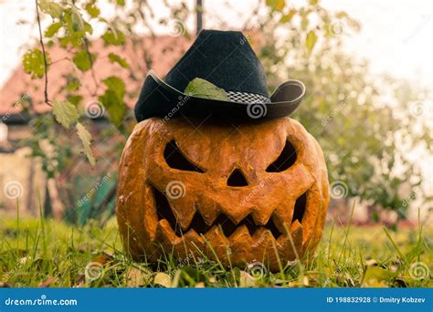halloween pumpkin  cowboy hat stock photo image  bushes horror