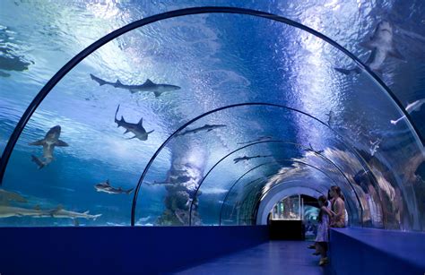 osaka aquarium kaiyukan   aquarium located   ward