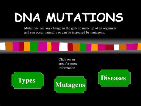 ppt dna mutations powerpoint presentation free download