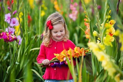 growing  edible flower garden  kids