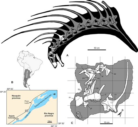 badass dinosaur with a mohawk of spikes uncovered in patagonia