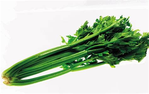 celery stalk  rib nutrition  food safety
