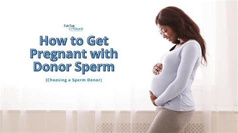 how to get pregnant with donor sperm choosing a sperm donor