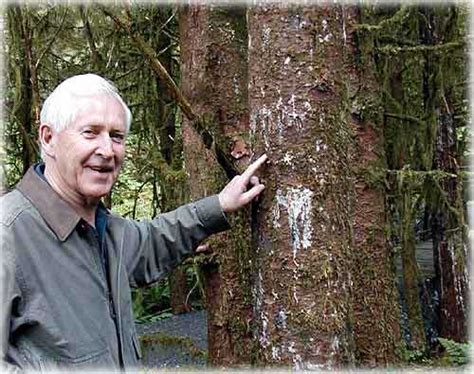sitnews exploring the alaska rainforest sanctuary by louise brinck harrington