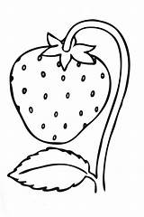 Strawberries Fresas Coloriage раскраски Ausmalbilder распечатать Einfache Raskraski sketch template