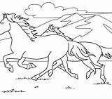 Horse Coloring Pages Jumping Horses Clydesdale Herd Color Small Show Realistic Getcolorings Rearing Printable Wild Mustang Print Colorings Getdrawings sketch template