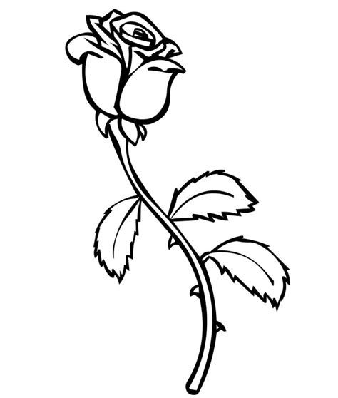 simple rose bud drawing  getdrawings