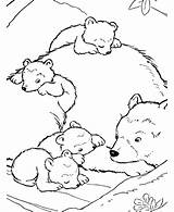 Coloring Pages Bear Kids Bears Grizzly Polar Color Colouring Animal Printable Animals Cartoon Sheet Sheets Print Ages Wild Clipart American sketch template