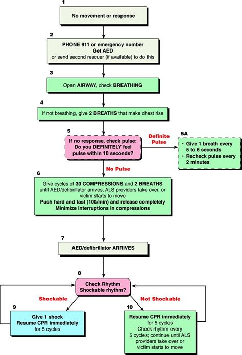 Med Source Basic Life Support How To Perform Cpr Acls Algorithm