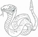 Coloring Rattlesnake Getdrawings Diamondback sketch template