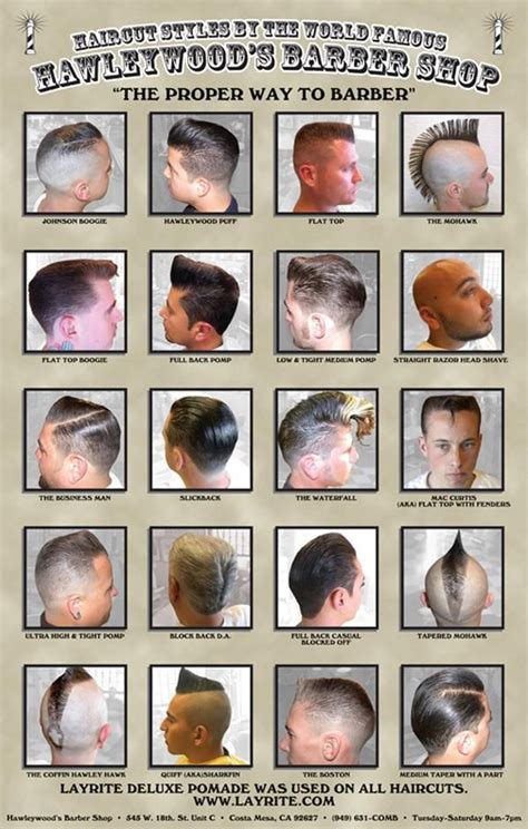 haircut chart  barber shops