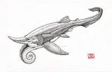 Helicoprion Shark Edestus Nemesis Fossils Dinosaurs sketch template