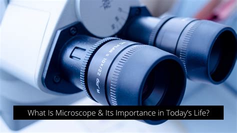 microscope  importance  todays life