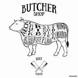 Beef Butcher Cow Cuts Scheme Drawing Getdrawings Pig Illustration Wall Brisket Barbecue Preview sketch template