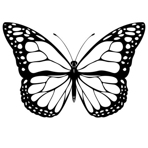 butterfly outline drawings clipart
