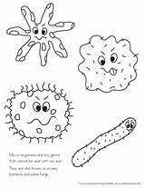 Coloring Germs Pages Kids Sheets sketch template