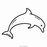 Golfinho Colorir Delfino Ausmalbilder Imprimir Ultracoloringpages Delphin Amado Dolphin Stampare sketch template