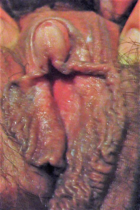 varieties of vaginas page 11 xnxx adult forum