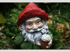 Beer Drinking Gnome Garden Gnomes For Sale Funny by PhenomeGNOME