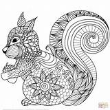 Zentangle Coloring Pages Squirrel Lovely Drawing sketch template