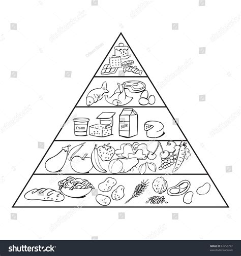 vector illustration food pyramid ready  stock vector