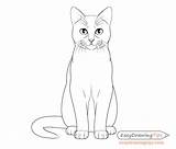 Cat Sitting Drawing Easy Step Front Draw Whiskers Claws Drawings Paintingvalley sketch template