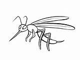 Colorear Mosquito Zancudos Dengue Mosquitoes Insectos Zancudo Conmishijos Imagui Mosquitos Tablero sketch template