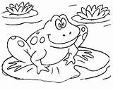 Toad Coloring Frog Pages Getcolorings Color sketch template