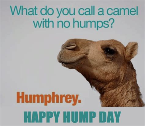 Happy Hump Day 😂🤣 Take Care Of Funny ~ Good
