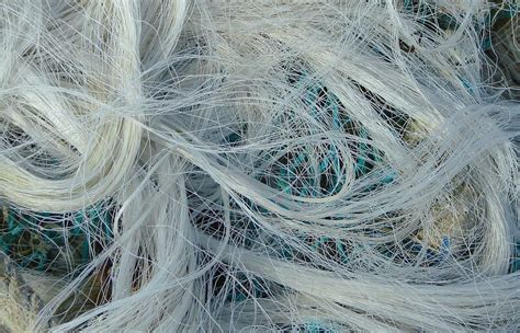 fibre textile pearltrees