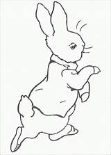Potter Beatrix Pages Drawing Coloring Rabbit Peter Kids Getdrawings sketch template
