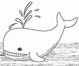 Whale Coloring Pages Sperm Drawing Whales Kids Line Printable Animal Cool2bkids Cartoon Easy Drawings Paintingvalley sketch template