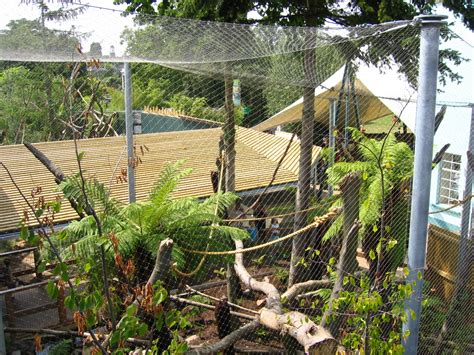 bristol zoo howler monkey enclosure base structures