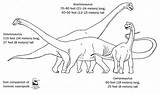 Coloring Sauropod Cenozoic sketch template