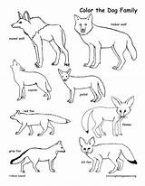 Coloring Family Dog Printing Support Exploringnature Sponsors Wonderful Please sketch template