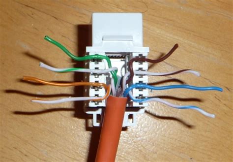 data wiring cat
