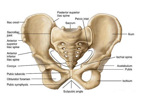 Hip Osteopathy Singapore