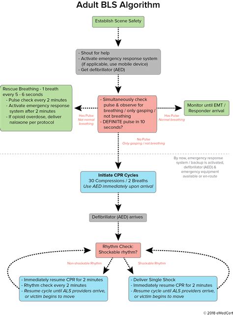 Acls Algorithms You Need To Know