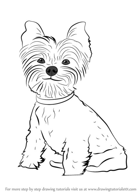 yorkie puppy coloring pages  getcoloringscom  printable