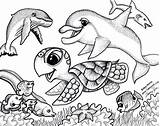 Coloring Pages Coloriage Tortue Sea Origami Stuff4kids Du Honu Baby sketch template